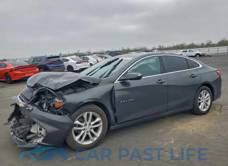 1G1ZD5ST8JF144127# 1