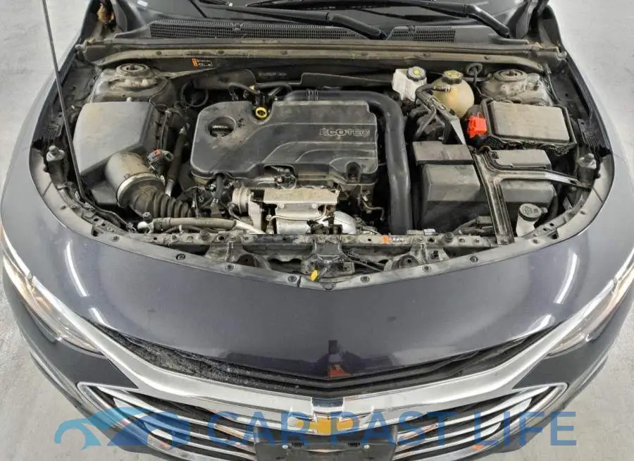 1G1ZD5ST9PF175704# 11