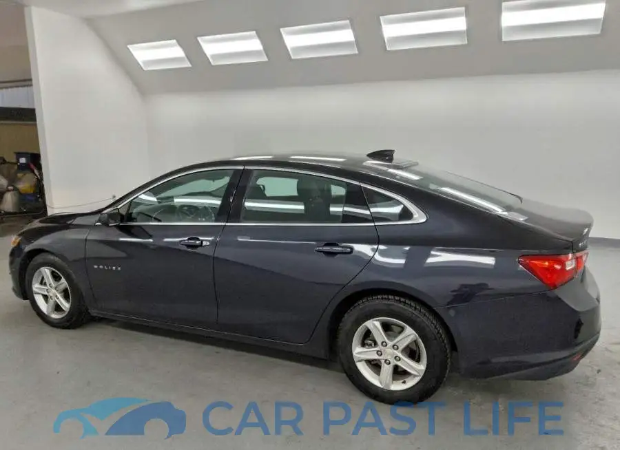 1G1ZD5ST9PF175704# 2