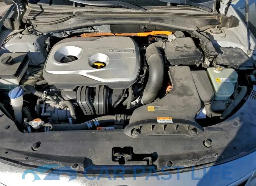 KNAGT4LE7J5021501# 11
