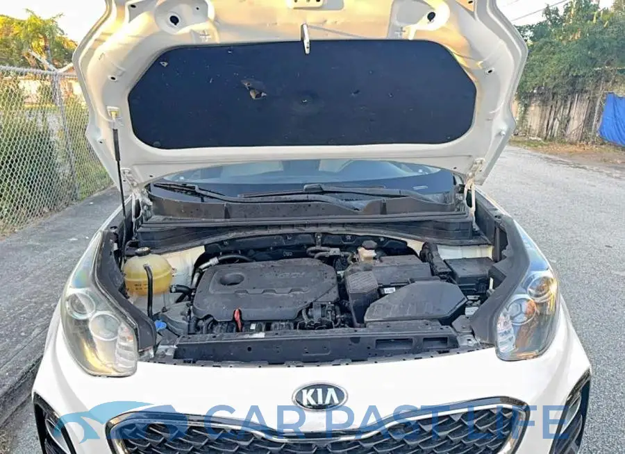 KNDPMCAC9L7699024# 7