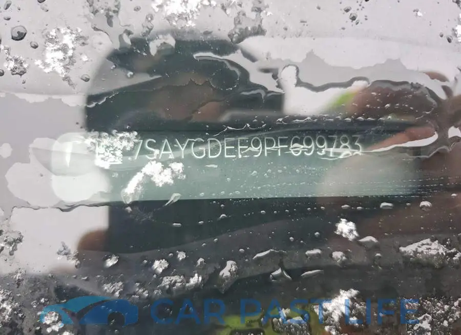 7SAYGDEE9PF699783# 13