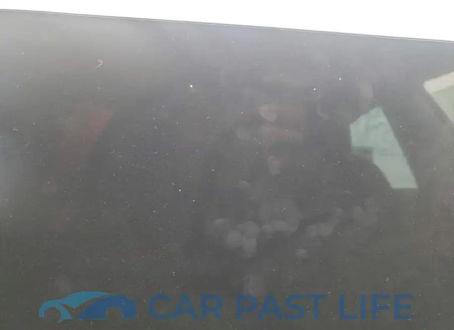 5YJ3E1EAXPF481568# 9