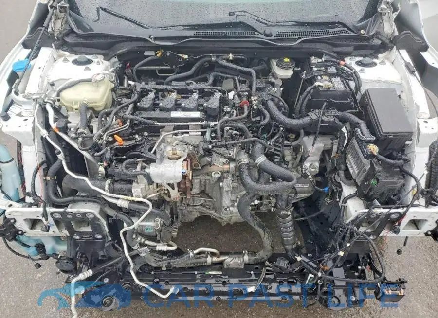 2HGFC1E56LH704894# 10