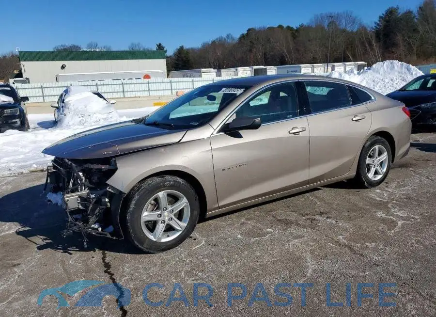 1G1ZD5ST4PF189817# 1