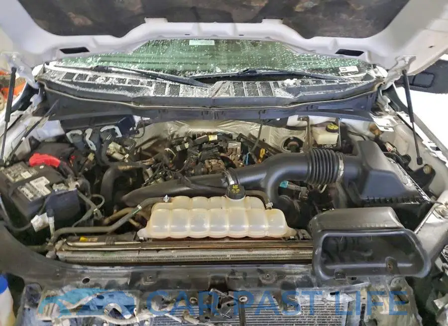 1FTEW1EP6MFB03264# 11