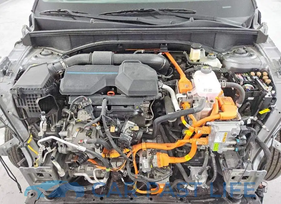 KNDRH4JG0S5329404# 12