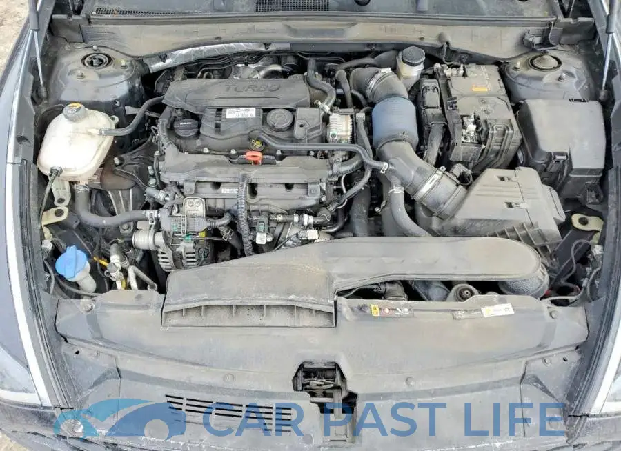 KMHL44J23PA271465# 11