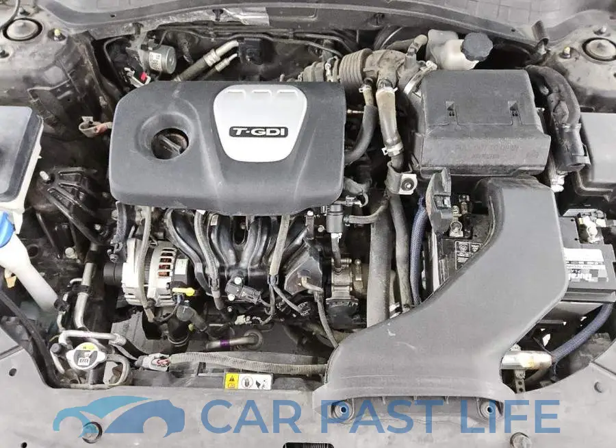 5XXGU4L14KG301127# 11