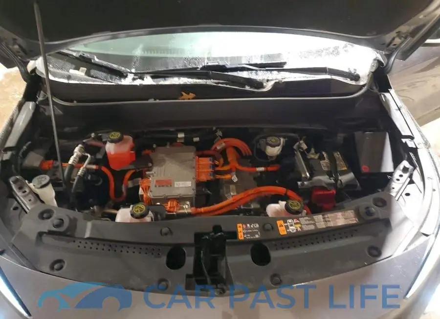 1G1FY6S03P4196658# 12
