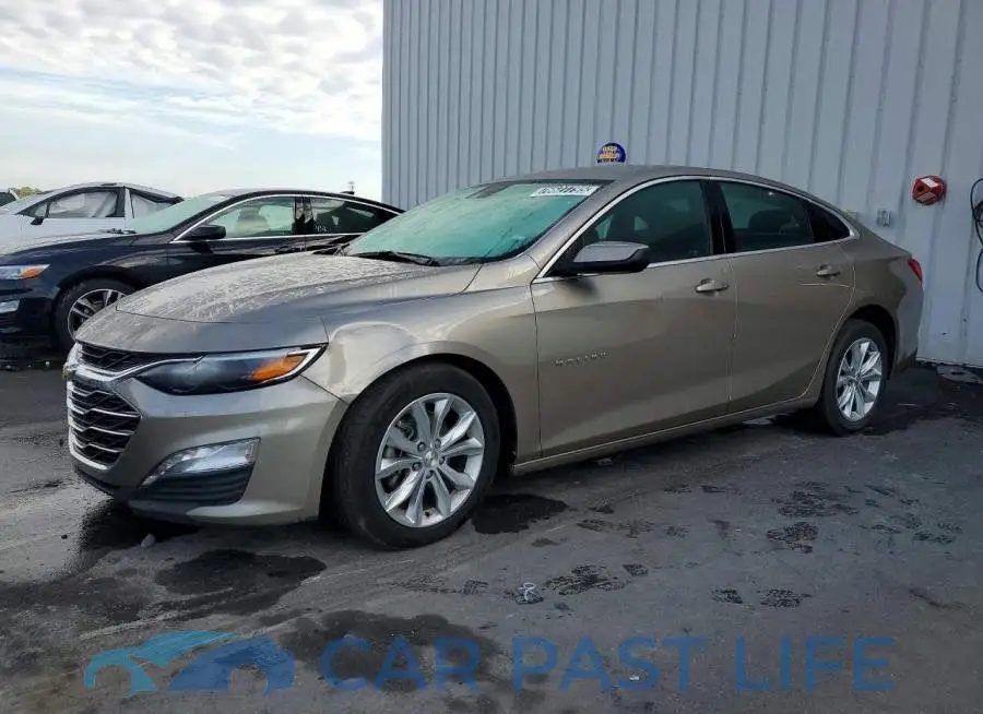 1G1ZD5ST8SF126728# 1