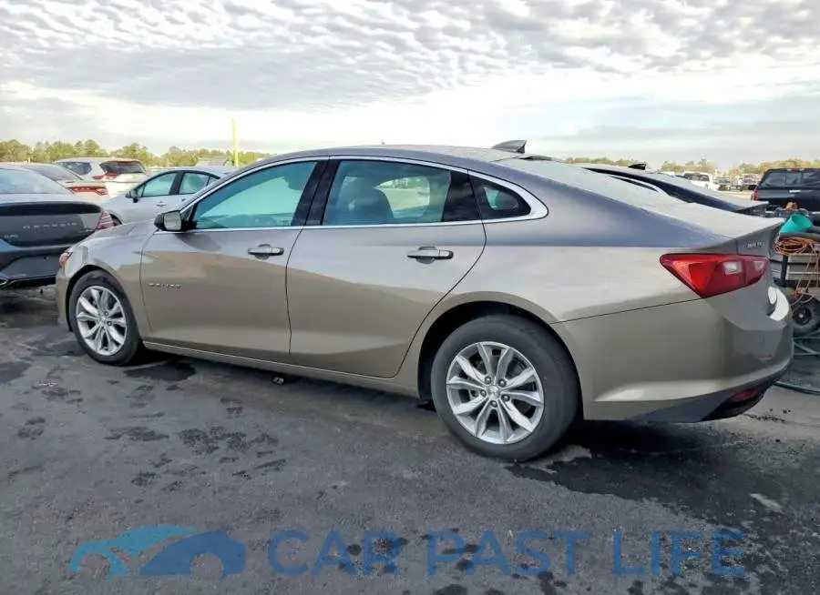 1G1ZD5ST8SF126728# 2