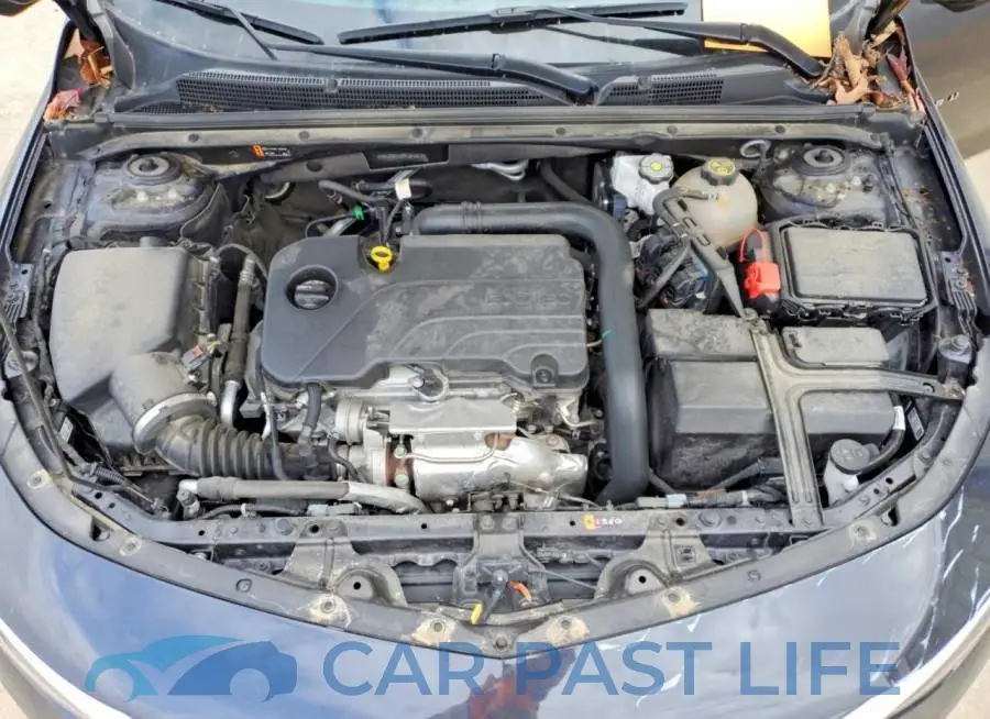 1G1ZD5ST6PF241612# 11