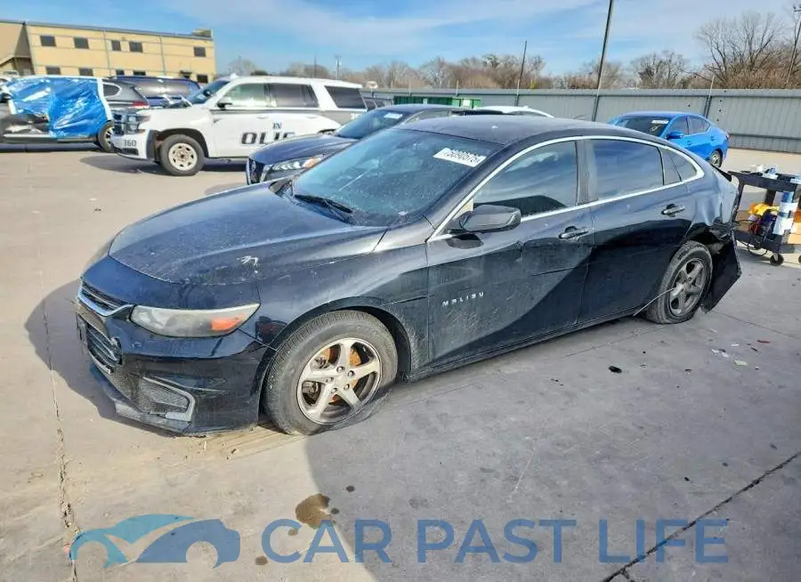 1G1ZB5ST6JF259881# 1