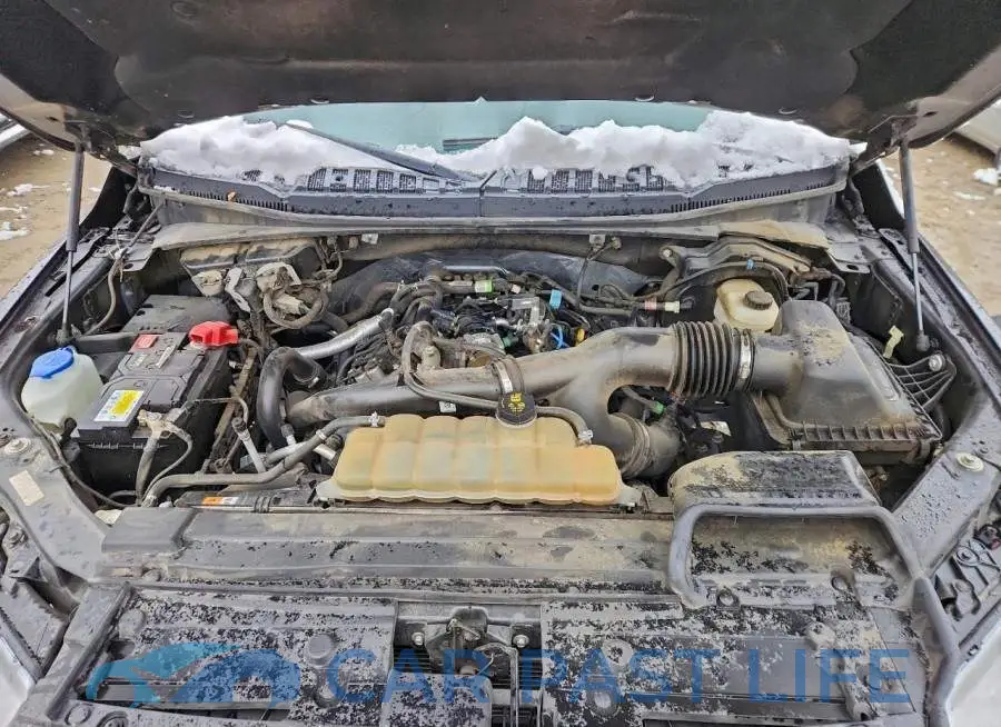 1FTEW1EP7LFA06038# 11