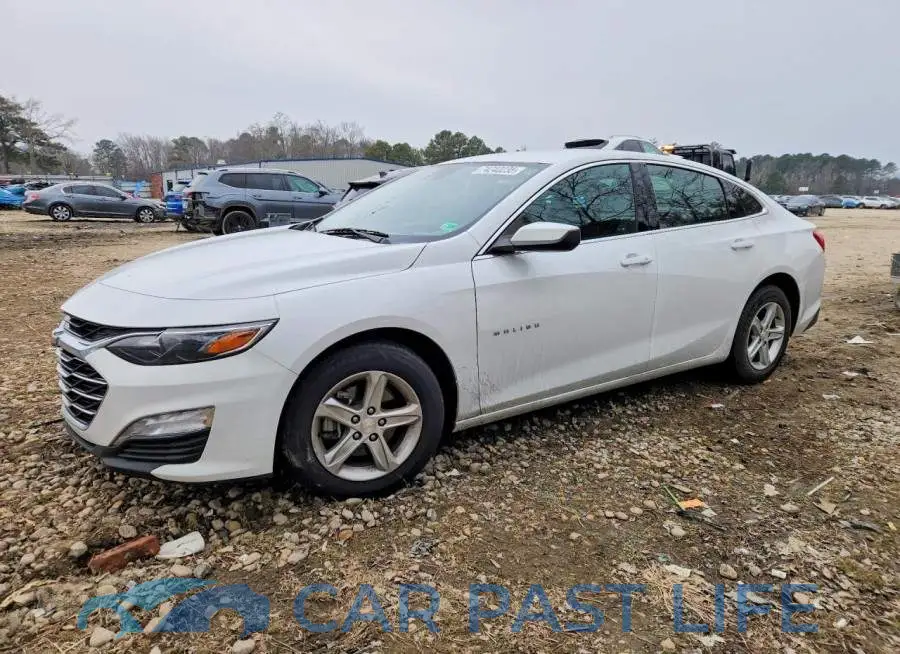 1G1ZD5ST4PF177537# 1