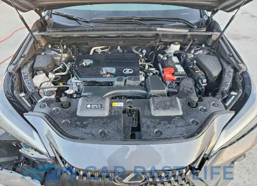 2T2ADCAZ2RC009806# 12
