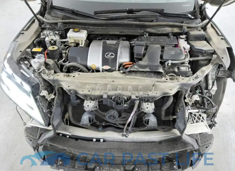 2T2YGMDA5NC090456# 12