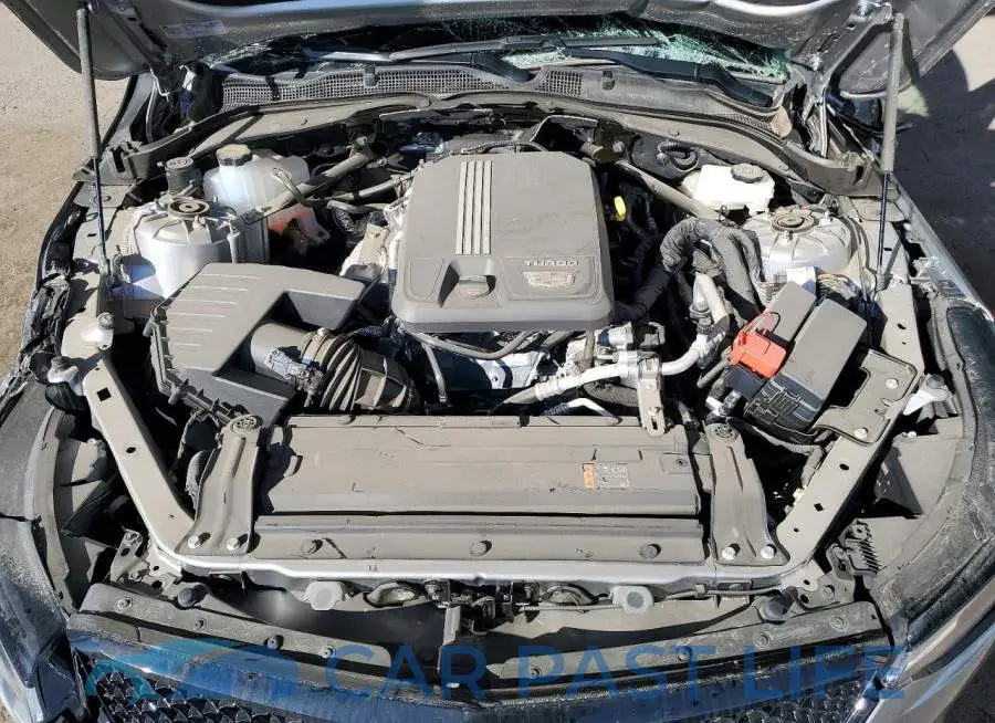 1G6DB5RK8S0117571# 11