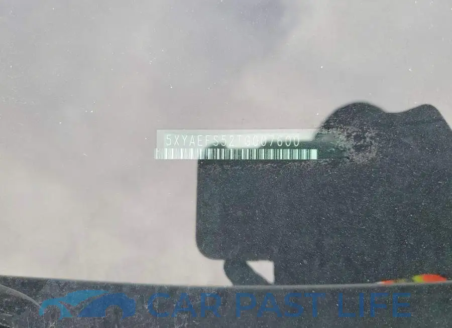 5XYAEFS52TG007600# 12