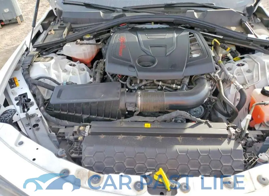 ZARFANAN6R7682617# 11