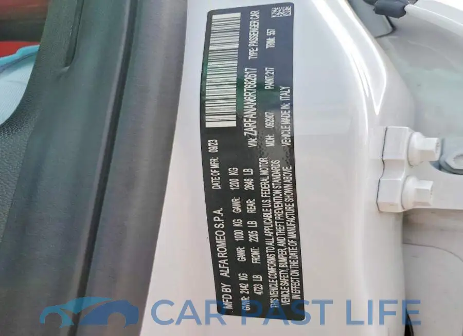 ZARFANAN6R7682617# 12