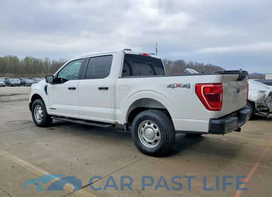 1FTFW1ED3MFB64761# 2