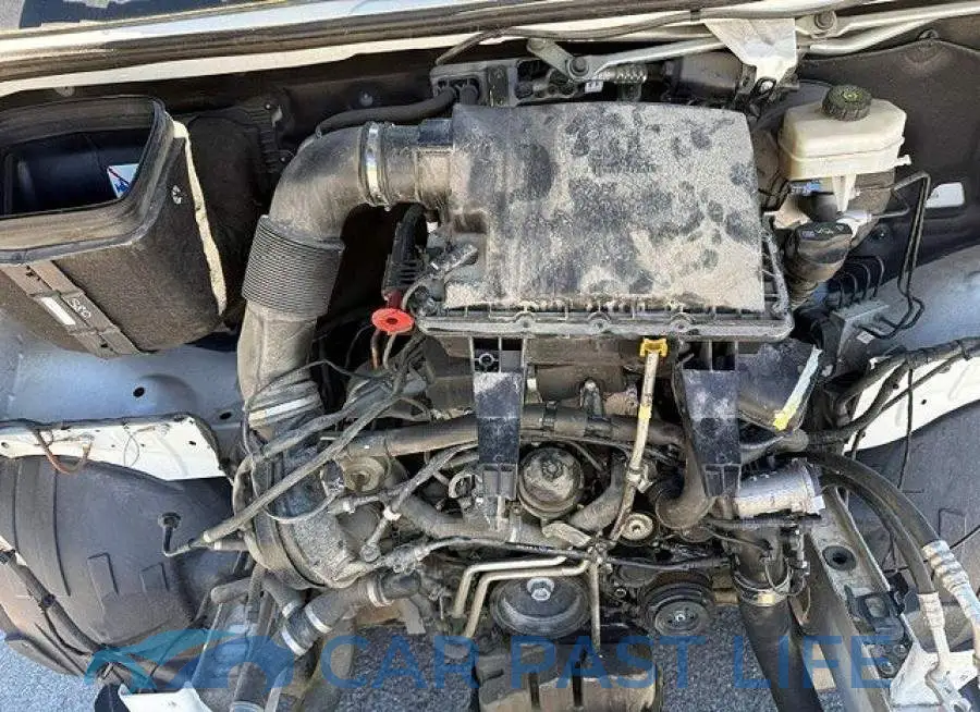 WD3PE7ED5KT010958# 6