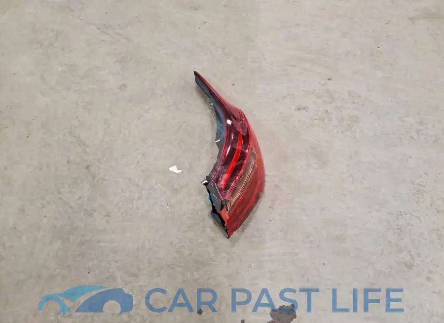 JN1EV7BP2RM601915# 12