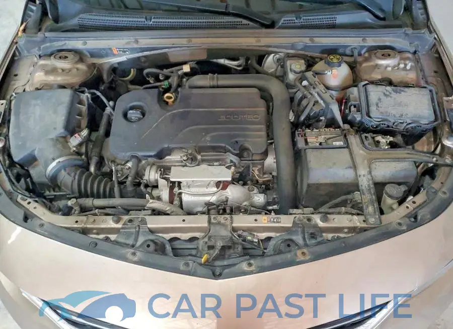 1G1ZD5ST9JF291654# 11