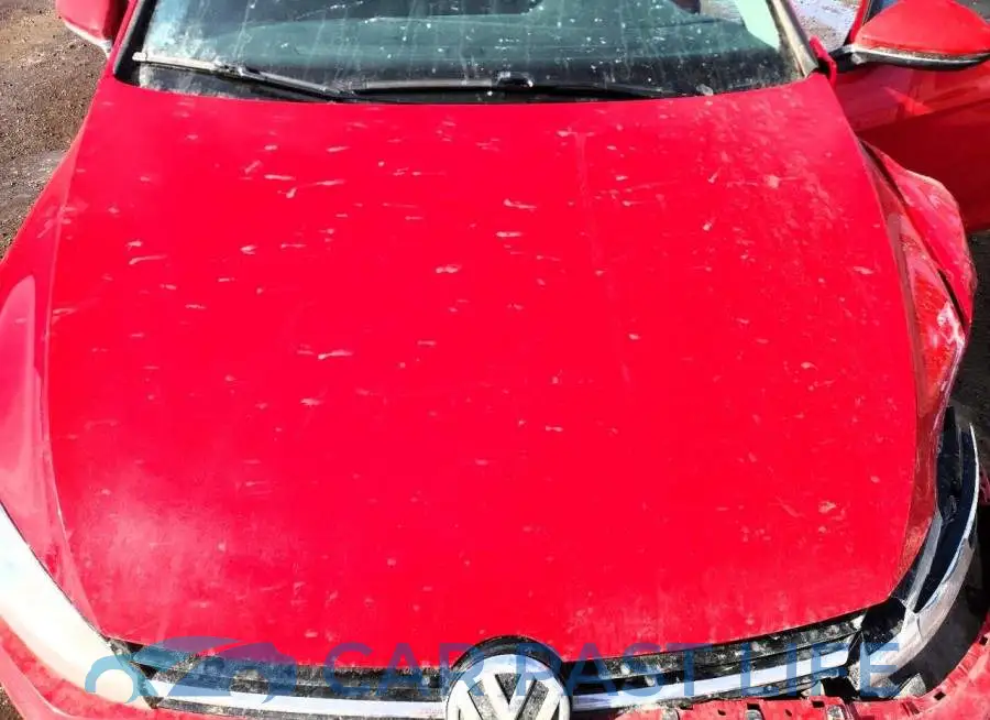 3VW117AU1KM507448# 11