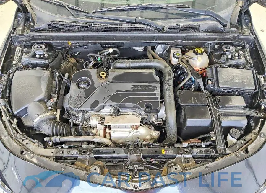1G1ZB5ST8LF116207# 11
