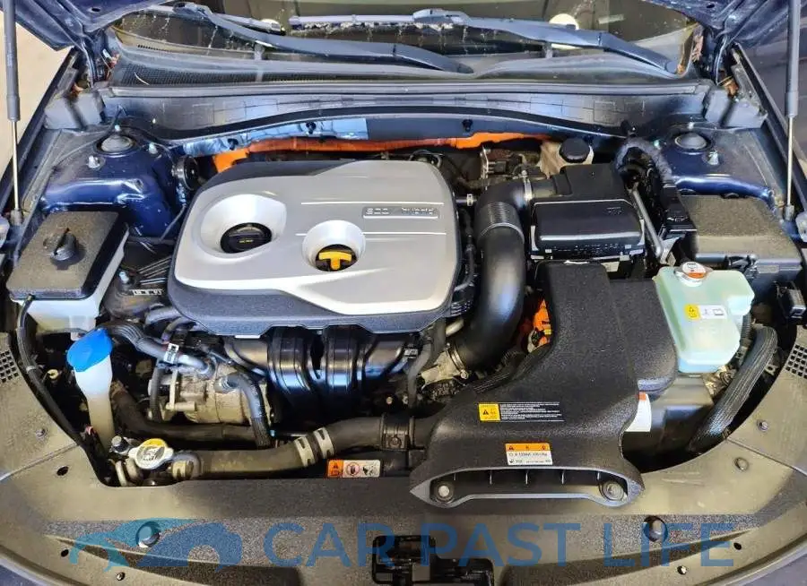 KNAGU4LE7J5020264# 11