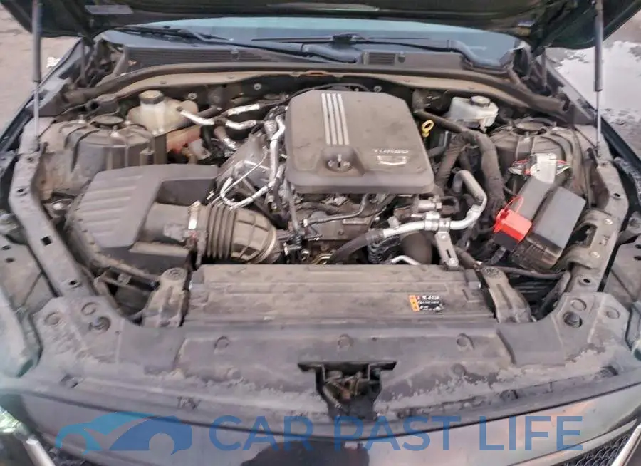 1G6DP5RK8L0120179# 11