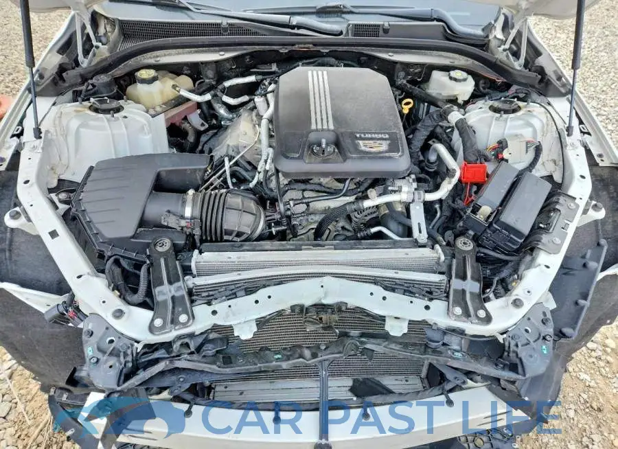 1G6DU5RK8L0146791# 11