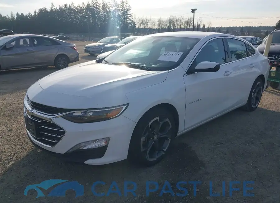 1G1ZD5ST5NF155379# 2