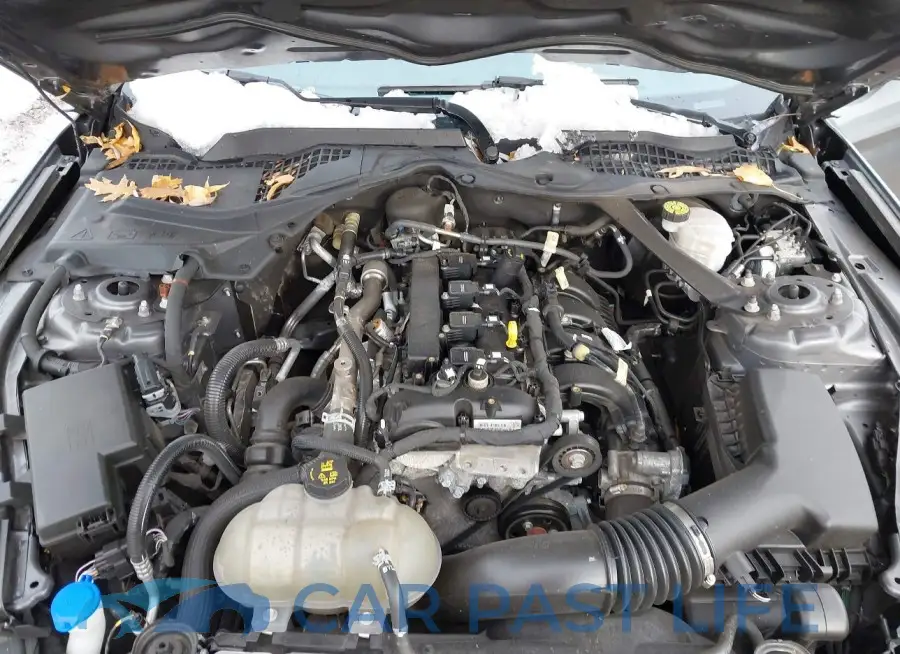 1FATP8UH1M5100257# 10