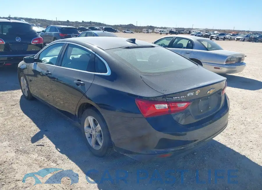 1G1ZD5ST0PF186431# 3