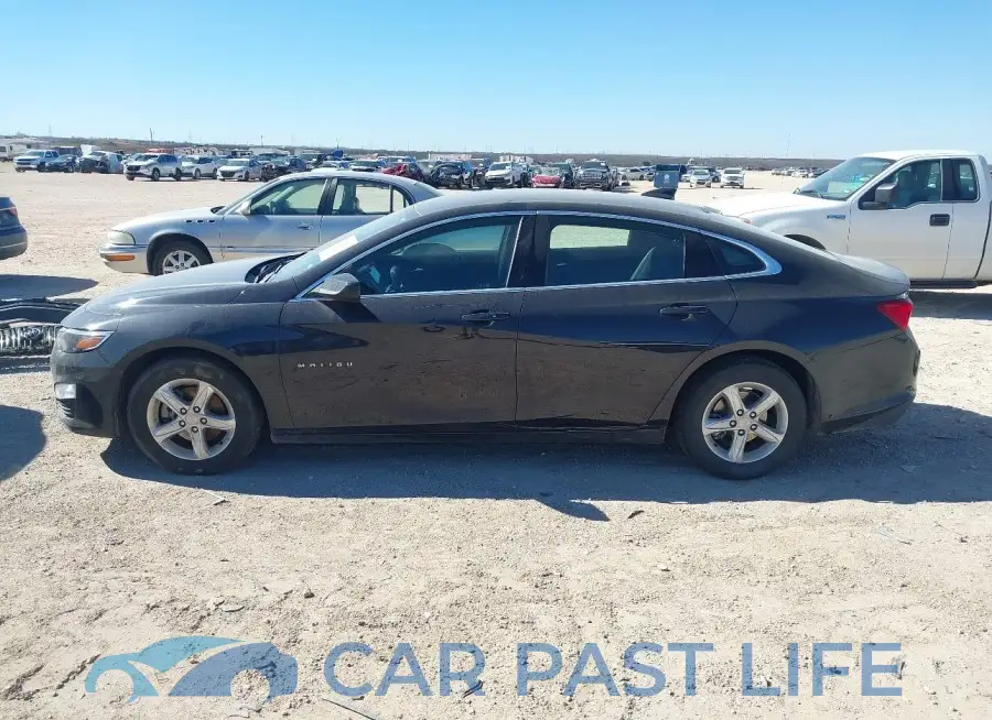1G1ZD5ST0PF186431# 14