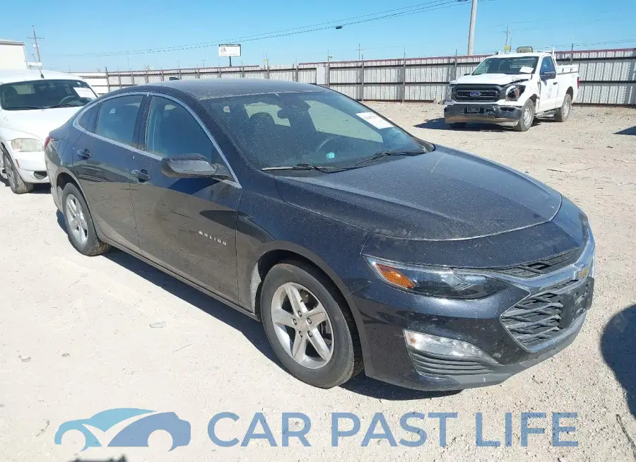 1G1ZD5ST0PF186431# 1