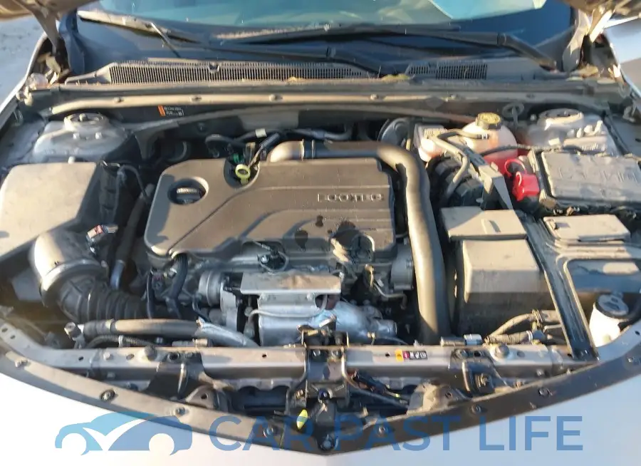 1G1ZD5ST5NF112046# 10