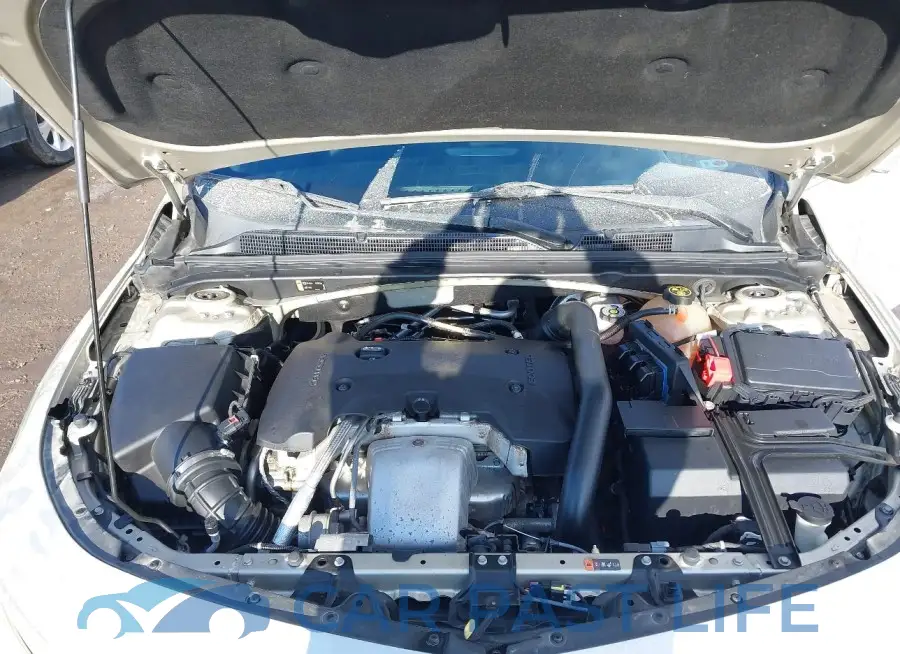 1G1ZF5SX9GF237681# 10