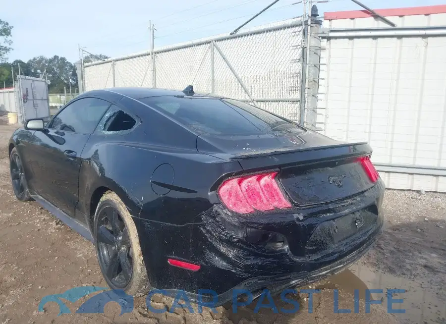 1FA6P8TH5M5120087# 6