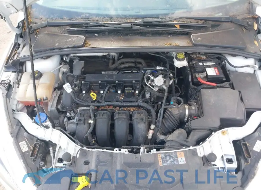 1FADP3K25JL295454# 10