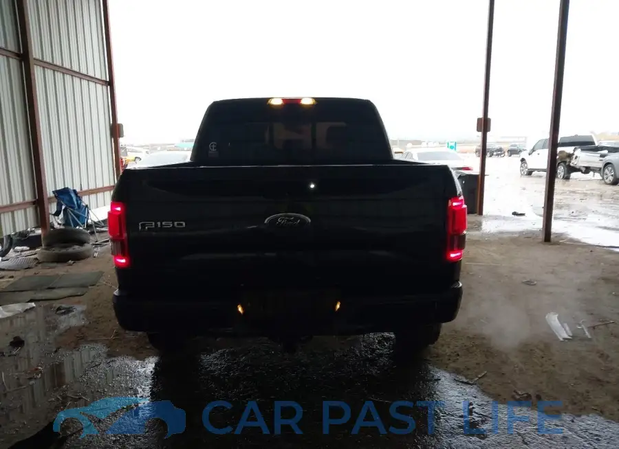 1FTEW1EG8FKD47850# 17