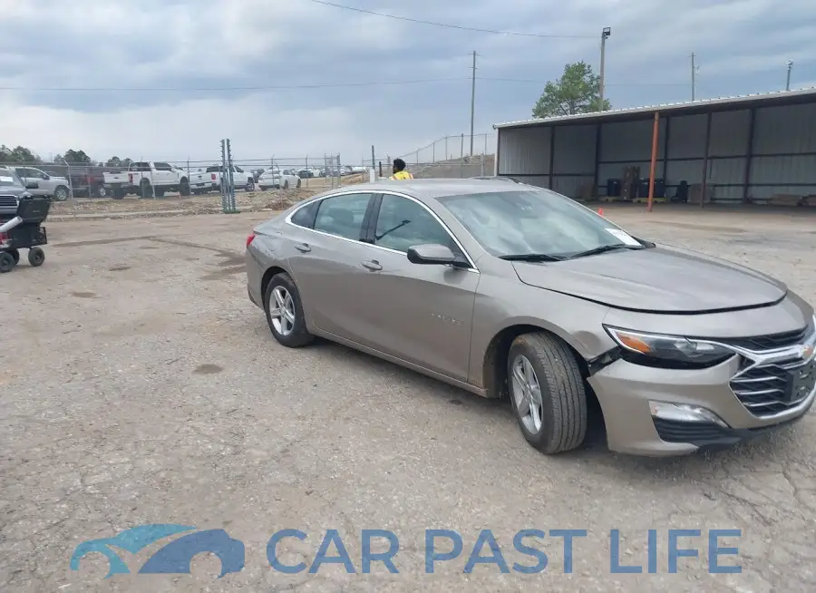 1G1ZD5ST6RF225008# 1