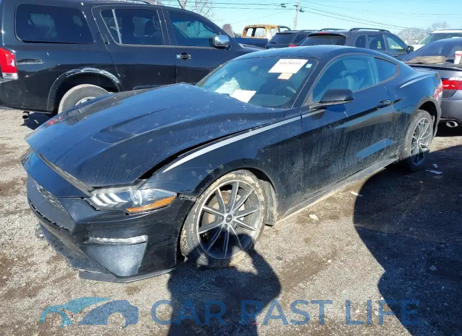 1FA6P8TH4J5165064# 2