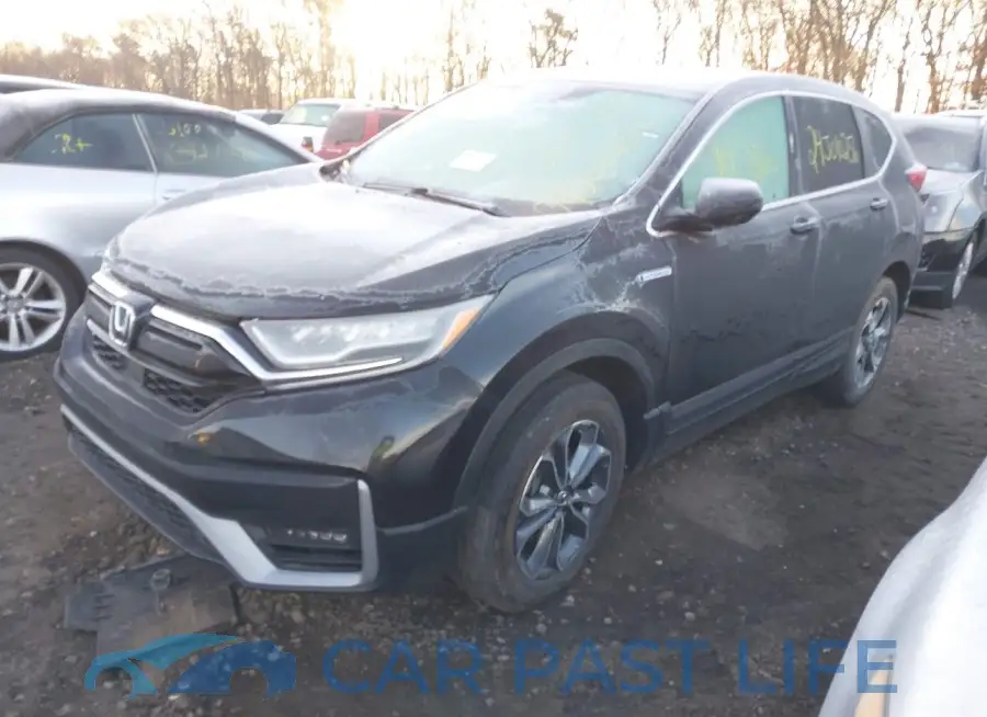 5J6RT6H81NL013366# 2