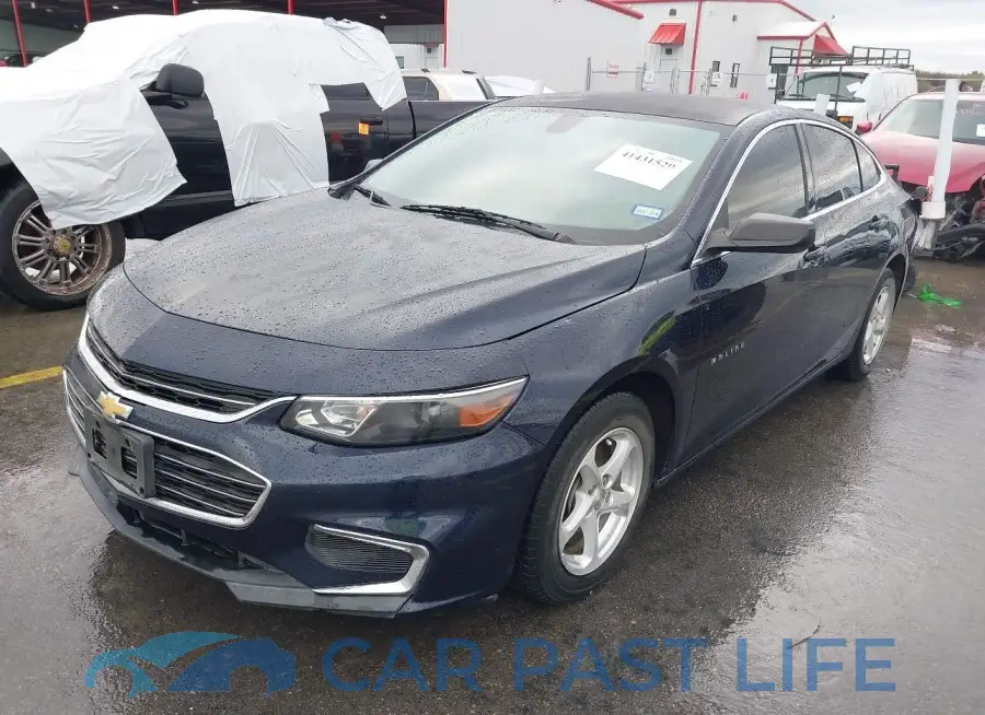 1G1ZB5ST4GF339687# 2