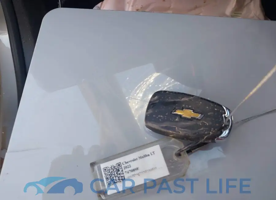 1G1ZD5ST3NF166834# 11